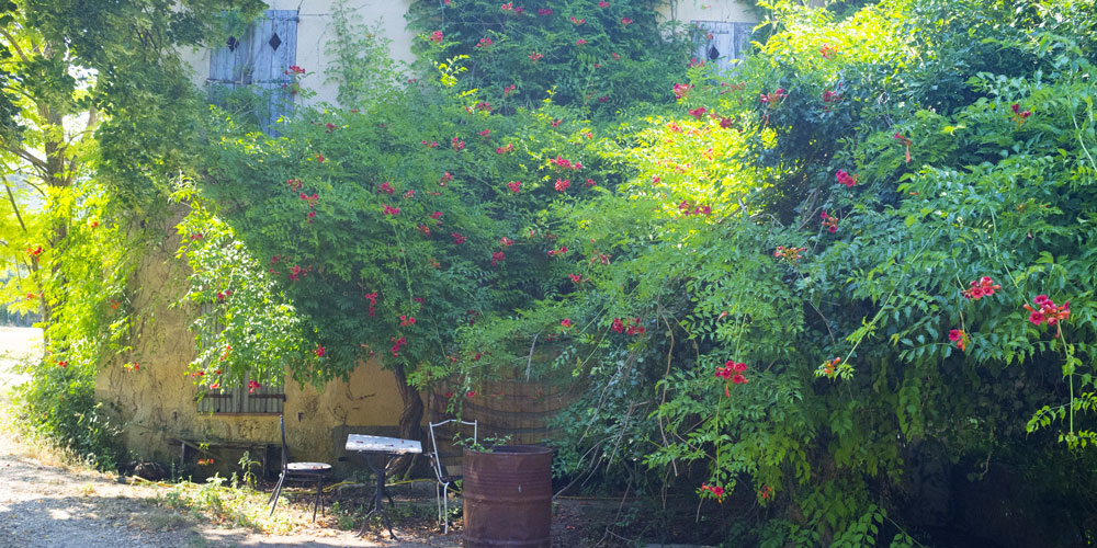 Provence