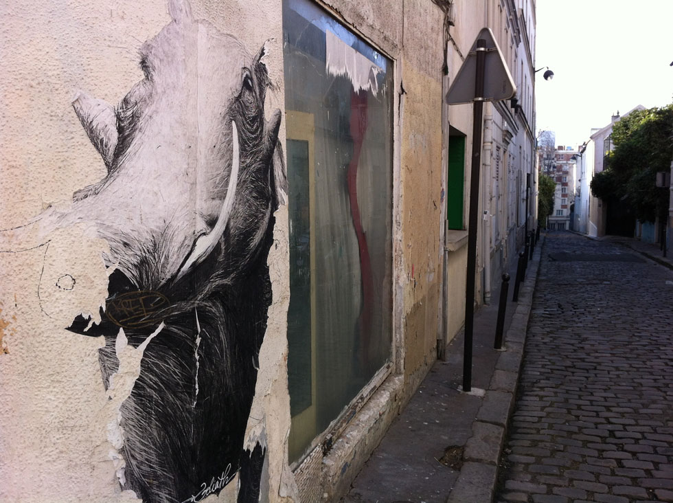 Graffiti: Boar