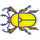 beetle