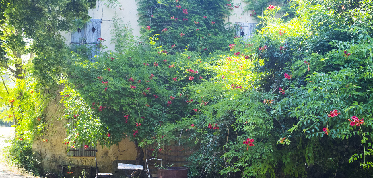 Provence